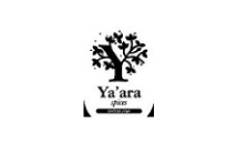32DB878E-9585-8BA2-1B0A-6C8B076FA5A6.png